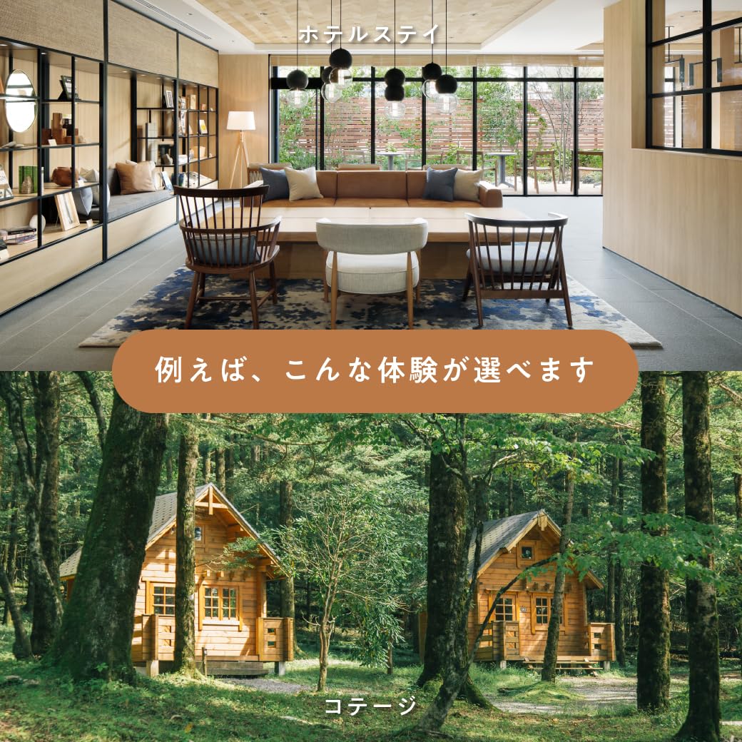 SOW EXPERIENCE 旅と体験のギフト(BROWN) ペア体験 旅と体験のギフト（BROWN）｜日帰りから宿泊まで。ホテルでの